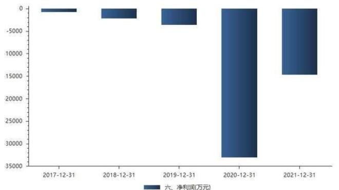 首药股份净利润五年亏损